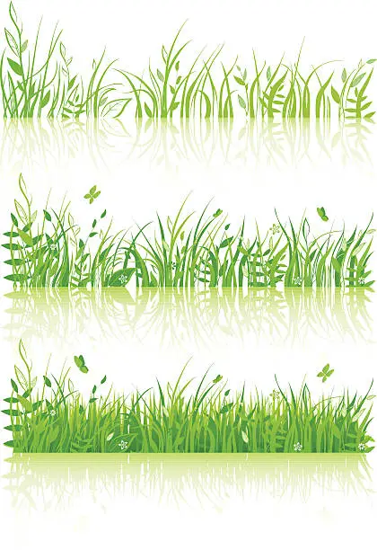 Vector illustration of Grass set