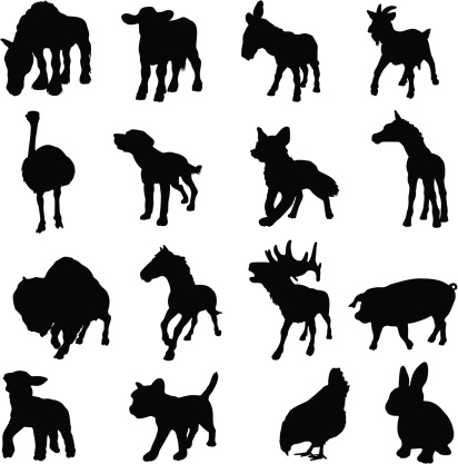 Animals which can be found on farm. These livestock silhouettes are in three quarter view.
