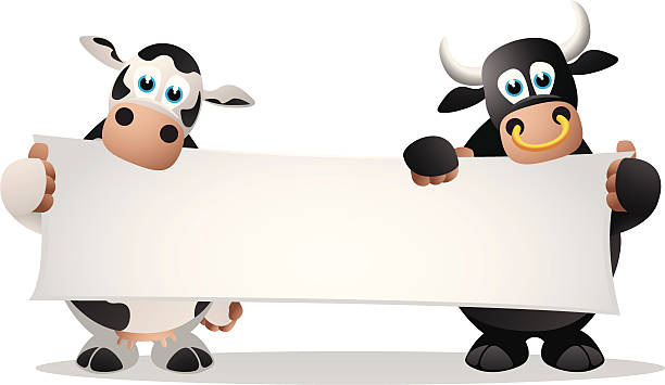 ilustraciones, imágenes clip art, dibujos animados e iconos de stock de vaca y bull sosteniendo un banner en blanco - dibujo-de-vaca