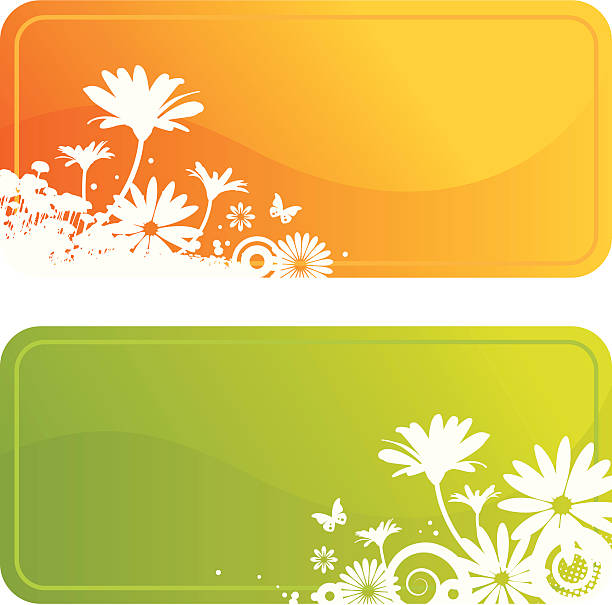 Flower frames vector art illustration