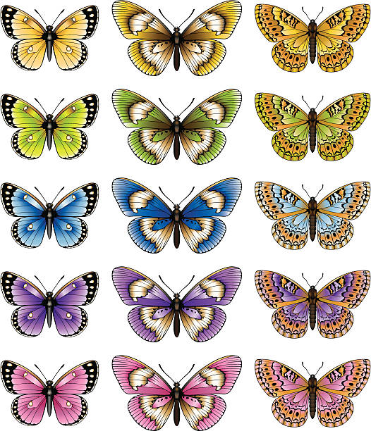 Zestawy Butterfly – artystyczna grafika wektorowa