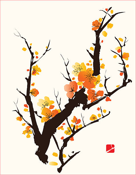 Plum Blossom Plum Blossom symbolise love and happiness, vectorized painting blossom peach blossom plum blossom zen like stock illustrations