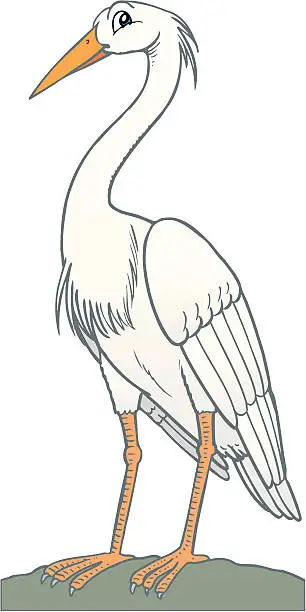 Vector illustration of Heron