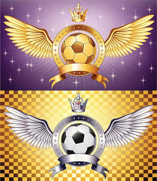 Vector illustration of Soccer insignia design