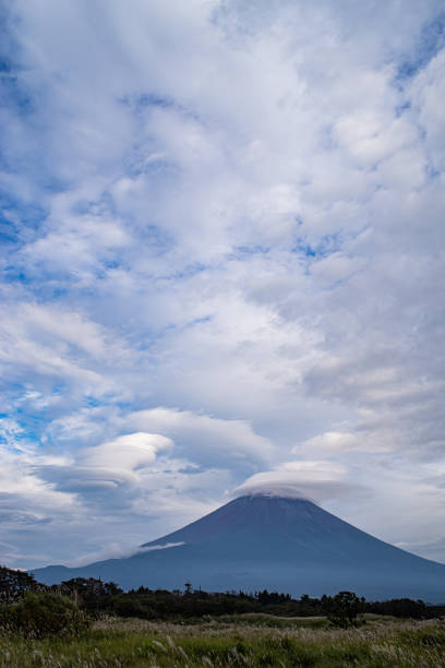 istock Japanese pampas grass and Mt.Fuji 1656614950