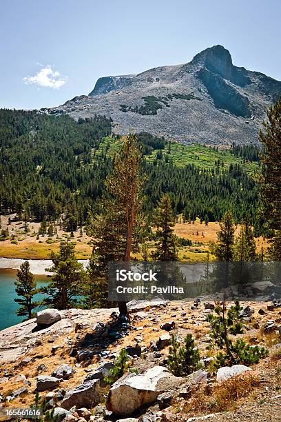 Monte Dana En Tioga Lake Parque Yosemite California Usa Foto de stock y más banco de imágenes de Aire libre