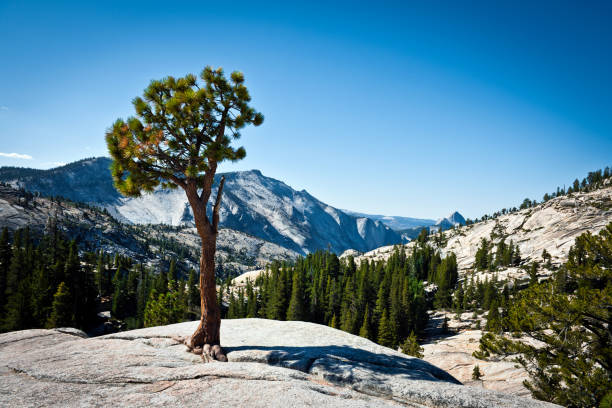 istock Olmsted Point and Half Dome in Yosemite USA 165661618