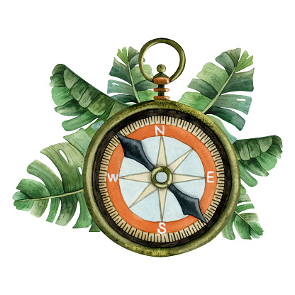 Vintage pocket compass with tropical palm leaves watercolor illustration. Nautical hand drawn navigation instrument illustration isolated on white background.