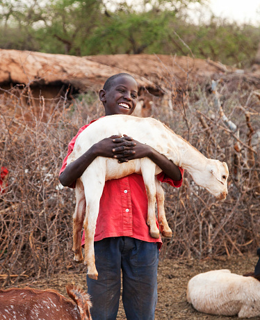 Young masai boy with goats outside hut. He is looking after the goats inside a thorn bush fence.