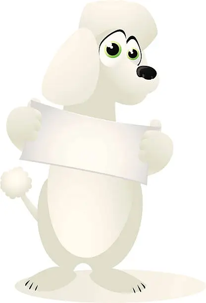 Vector illustration of Poodle holding a small blank banner
