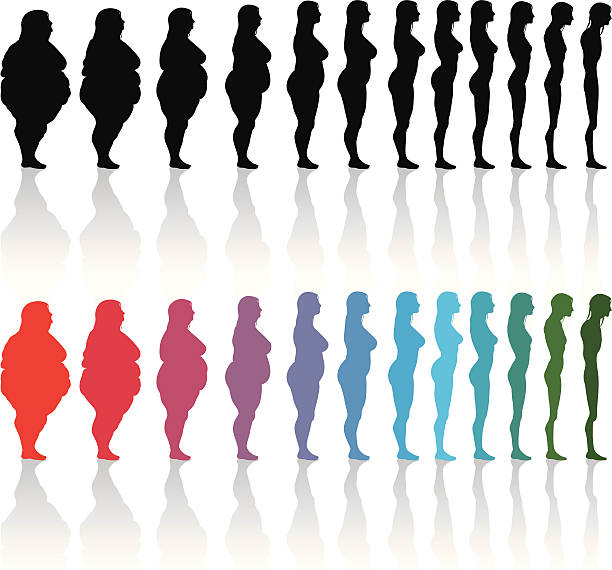 женщина излишки жира и тонкий - overweight women body abdomen stock illustrations