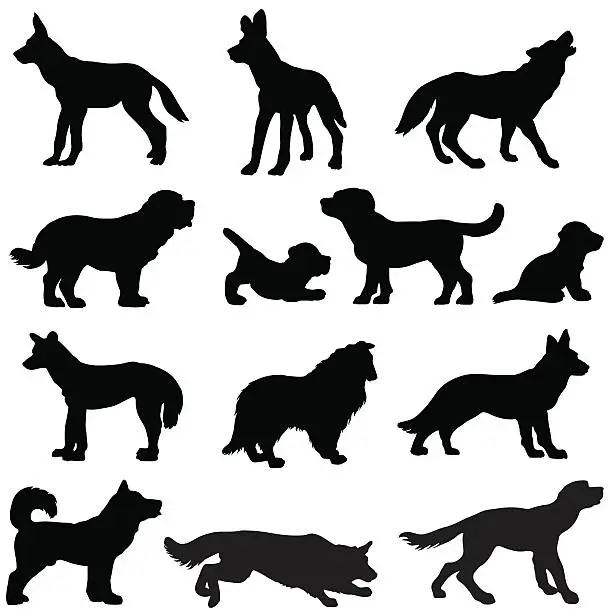 Vector illustration of Dog silhouettes, working and wild