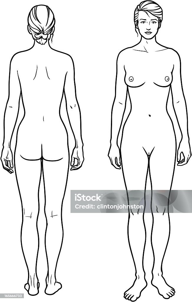 Homme femme sur le devant et dans le dos - clipart vectoriel de Anatomie libre de droits