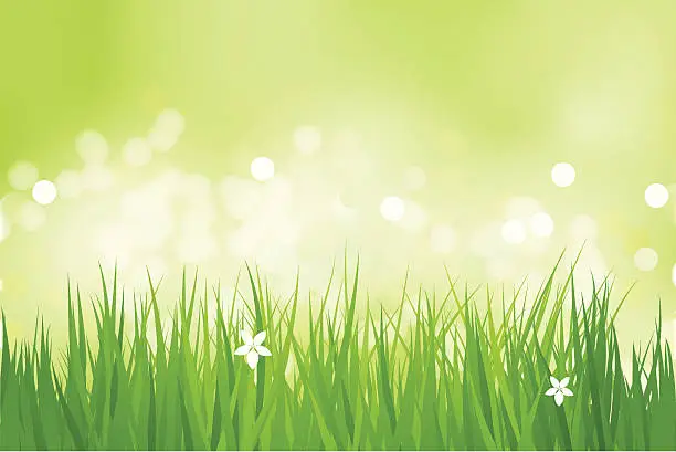 Vector illustration of Green grassy field