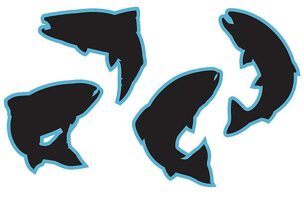 Jumping Trout Silhouettes vector illustration of various silhouettes of different types of trout.  bull trout stock illustrations