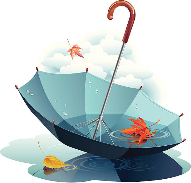 ilustraciones, imágenes clip art, dibujos animados e iconos de stock de paraguas y hojas - puddle