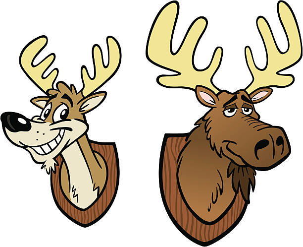 illustrations, cliparts, dessins animés et icônes de dessin animé en orignal et en cerf heads - moose animal head hunting humor