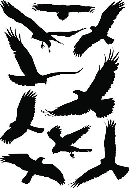 Silhouettes of wild birds in flight The silhouette of wild birds flying stock illustrations