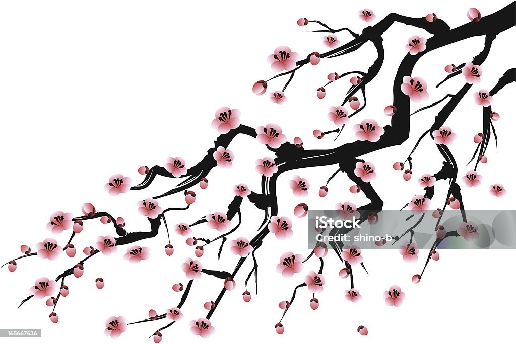 Слива - Векторная графика Цветок вишни роялти-фри