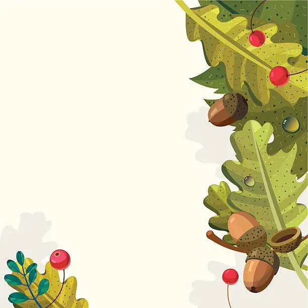 Vector illustration of Acorns and wild cranberries