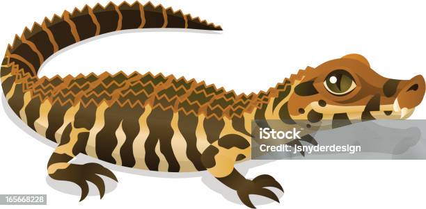 Black Caiman Stock Illustration - Download Image Now - Animal, Animal Themes, Animals In The Wild