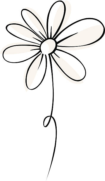 vektor gänseblümchen - einzelne blume stock-grafiken, -clipart, -cartoons und -symbole