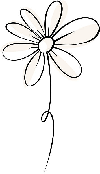 ilustraciones, imágenes clip art, dibujos animados e iconos de stock de vector margarita - una sola flor