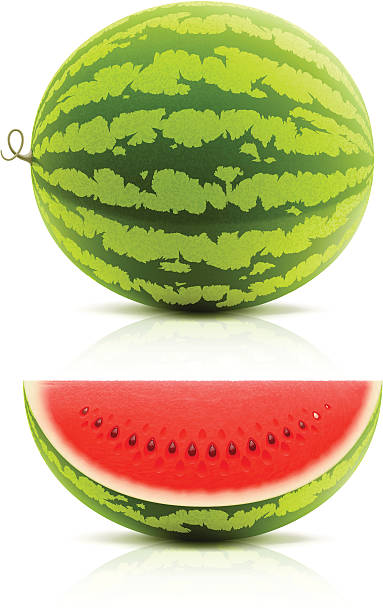 워터멜론 - watermelon fruit food portion stock illustrations