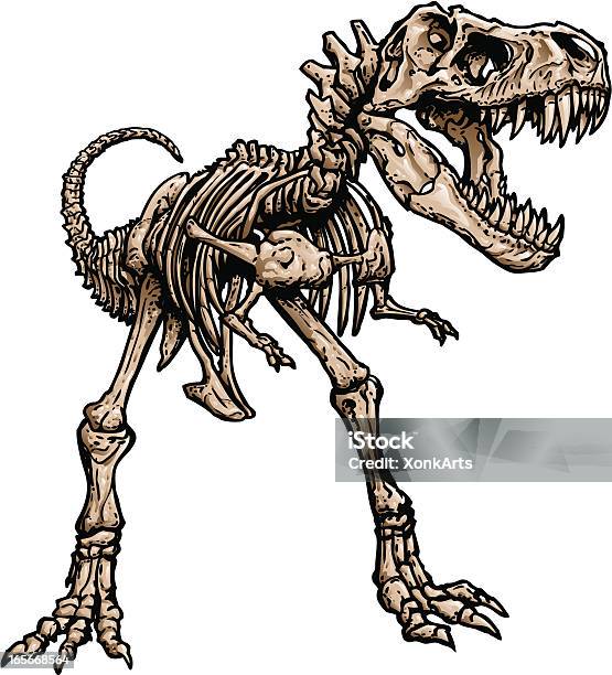 Scheletro Di T Rex - Immagini vettoriali stock e altre immagini di Dinosauro - Dinosauro, Tirannosauro Rex, Scheletro di animale