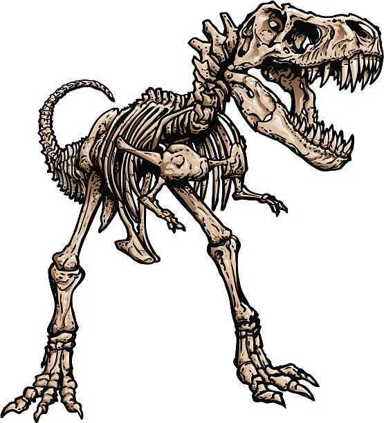 Vector illustration of T Rex Skeleton