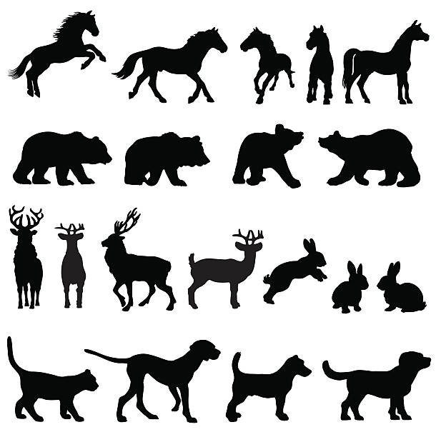 Countryside animal group silhouettes A group of animal silhouettes including horses, bears, deer, rabbits, dogs and a cat. doe deer silhouette stock illustrations