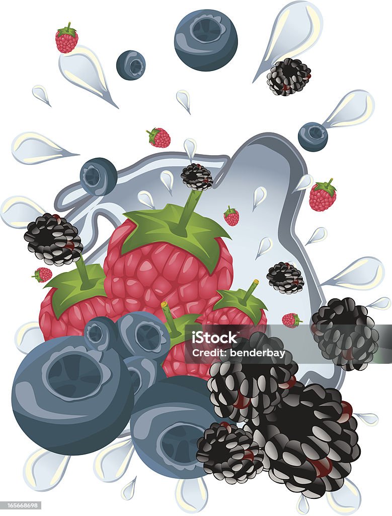 Zespołów rozebranych i jagody z blackberry, Malina, jagodowe - Grafika wektorowa royalty-free (Czarna jagoda)