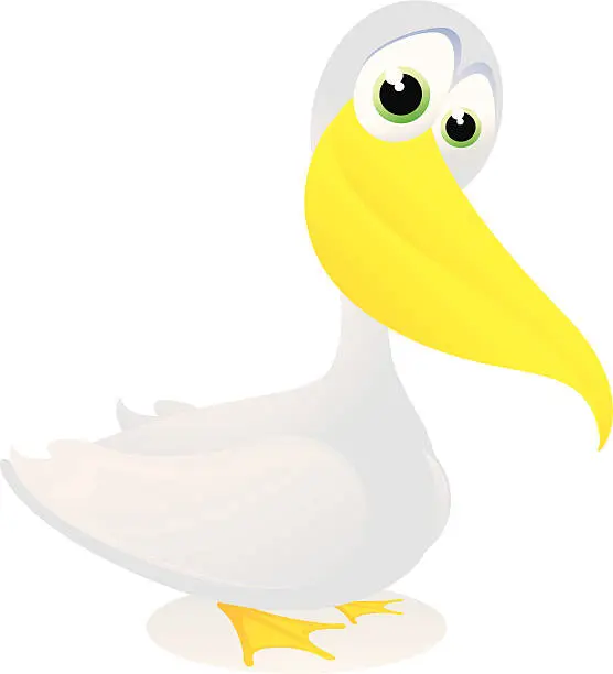 Vector illustration of Pelican cartoon