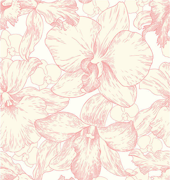 seamless pattern with orchids Wallpaper with orchids dendrobium orchid stock illustrations