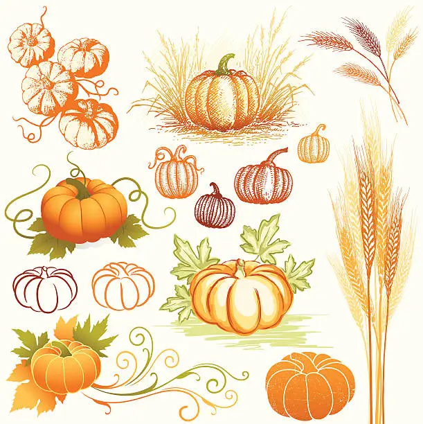 Vector illustration of Autumn Elements