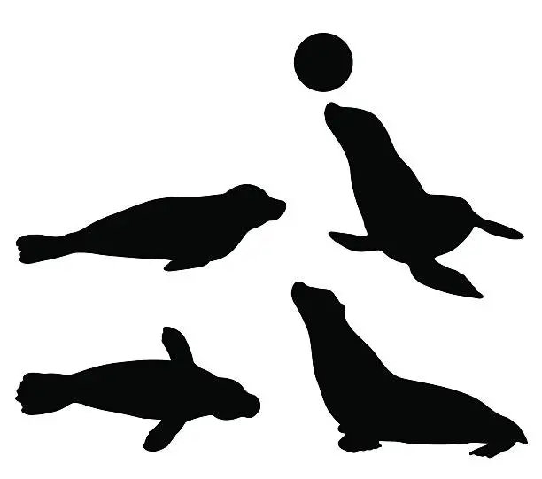 Vector illustration of Seal silhouette set