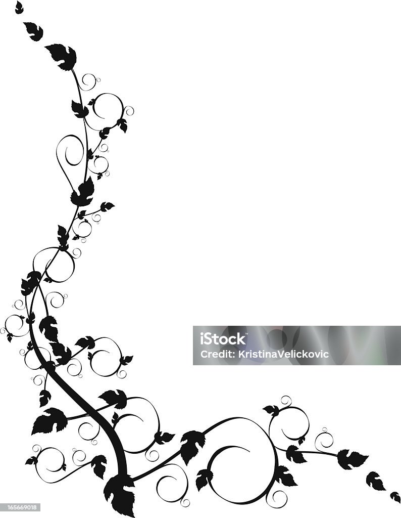 decorative frame vector illustration of decorative frame Vine - Plant stock vector