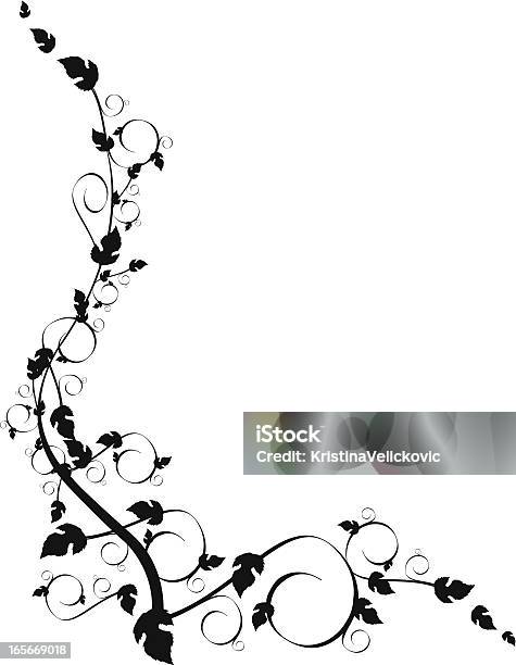 Decorative Frame Stock Illustration - Download Image Now - Vine - Plant, Border - Frame, In Silhouette