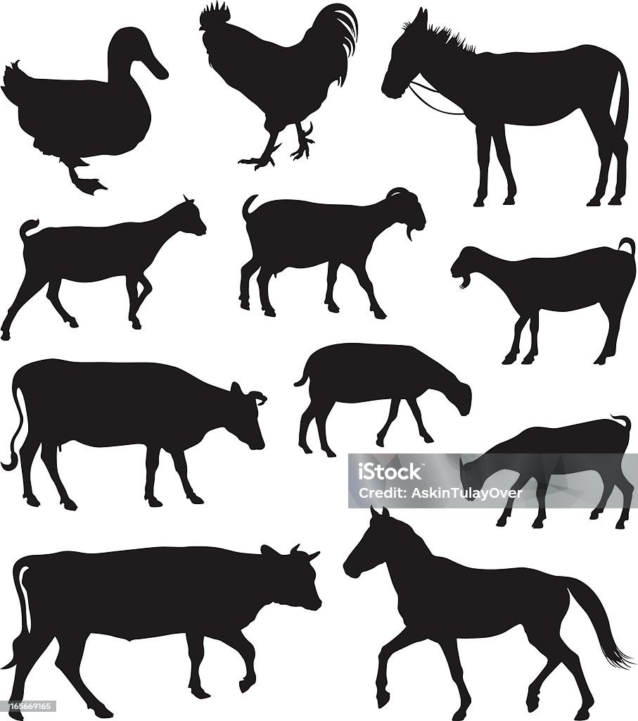 Farm Animals Animal silhouettes Goat stock vector