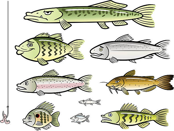 satz von cartoon fisch aus dem see, - minnow stock-grafiken, -clipart, -cartoons und -symbole