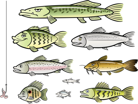Set of Cartoon Lake Fish