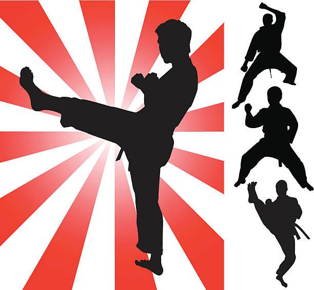 tae kwon do fighting silhouettes - do kwon stock illustrations