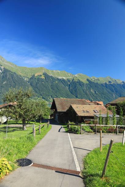 イゼルトヴァルト、スイスアルプスのブリエンツ湖 - swiss culture european alps house brienz ストックフォトと画像