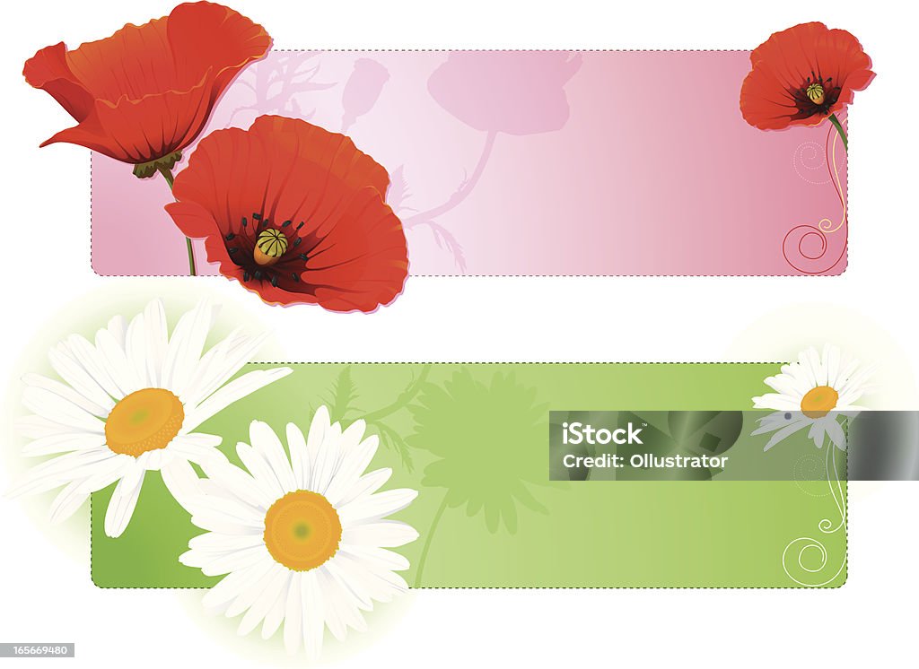 Summer flower banners with poppy and chamomile Vector illustration of summer flower banners with poppy and chamomile Backgrounds stock vector