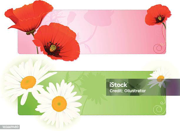 Summer Flower Banners With Poppy And Chamomile Stock Illustration - Download Image Now - Backgrounds, Beauty, Beauty In Nature