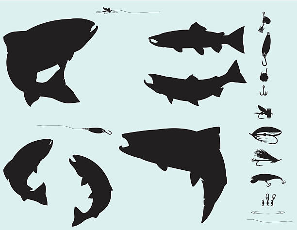 ilustrações de stock, clip art, desenhos animados e ícones de salmões e trutas conjunto de silhueta de pescador - trout fishing silhouette salmon