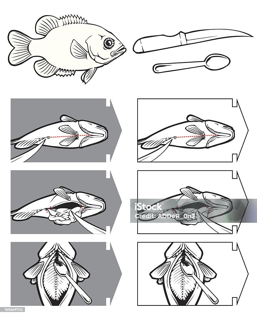 Cómo limpiar un pescado - arte vectorial de Pez libre de derechos