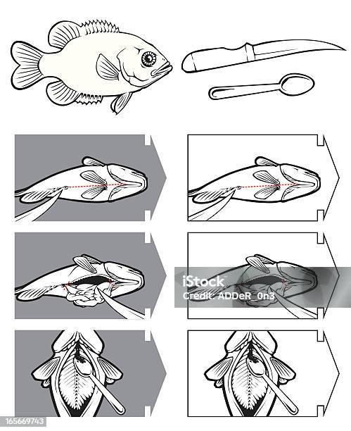 Ilustración de Cómo Limpiar Un Pescado y más Vectores Libres de Derechos de Pez - Pez, Exhibir, Destripar