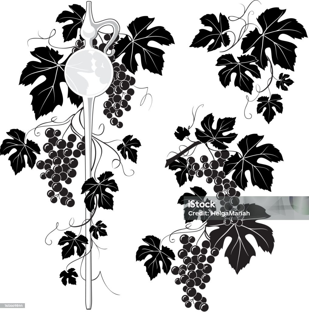 Vino pipetta & Grapevine Decorazione - arte vettoriale royalty-free di Foglia dell'uva