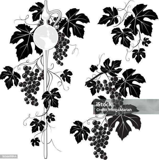 Vino Pipetta Grapevine Decorazione - Immagini vettoriali stock e altre immagini di Foglia dell'uva - Foglia dell'uva, Illustrazione, Azienda vinicola